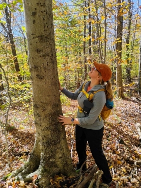 Dr. Santoro, seen here examining an afflicted beech tree, became interested in trees and forest ecology at a young age. 