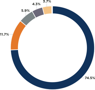 Pie chart showing revenue sources and percentages