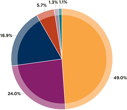 Pie Chart of Expense Distribution Pie chart showing expense distributions and percentages