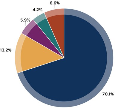 Pie Chart of Operating Revenue Pie chart showing revenue sources and percentages