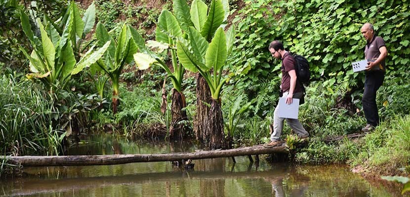 Villanovans conducting research in Madagascar. Villanova researcher conducting water-related research in Madagascar