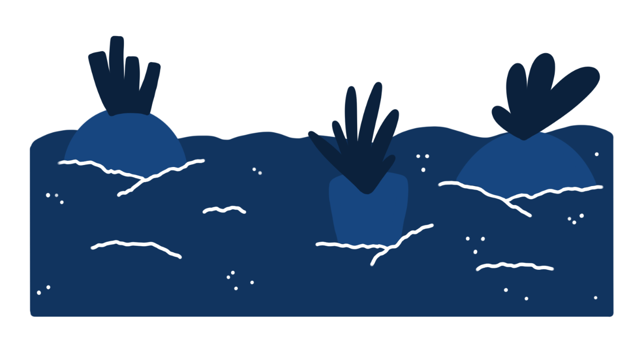 Silhouette of garden