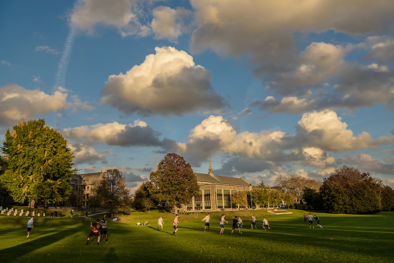 Click here to access PhotoShelter Libris